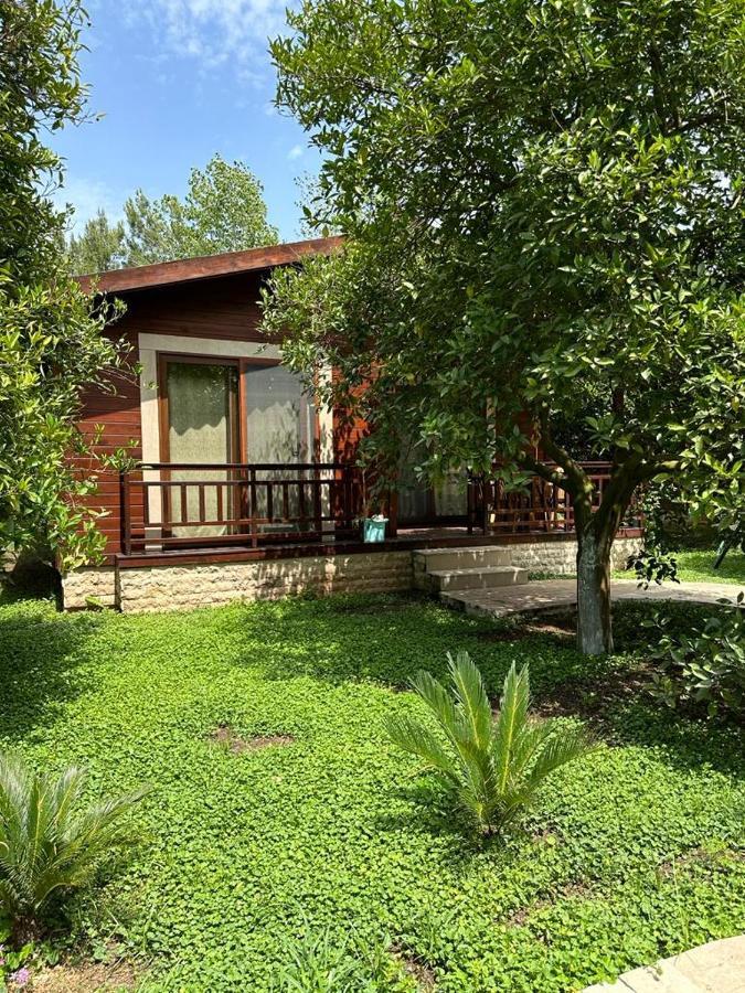Cirali Villas 2 Экстерьер фото
