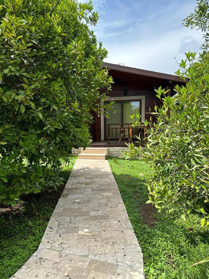 Cirali Villas 2 Экстерьер фото